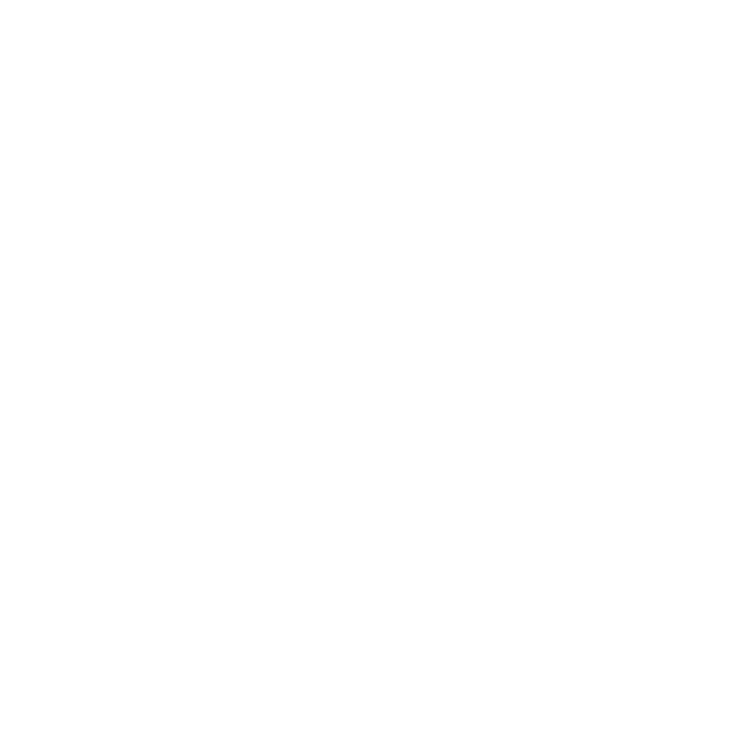 driver